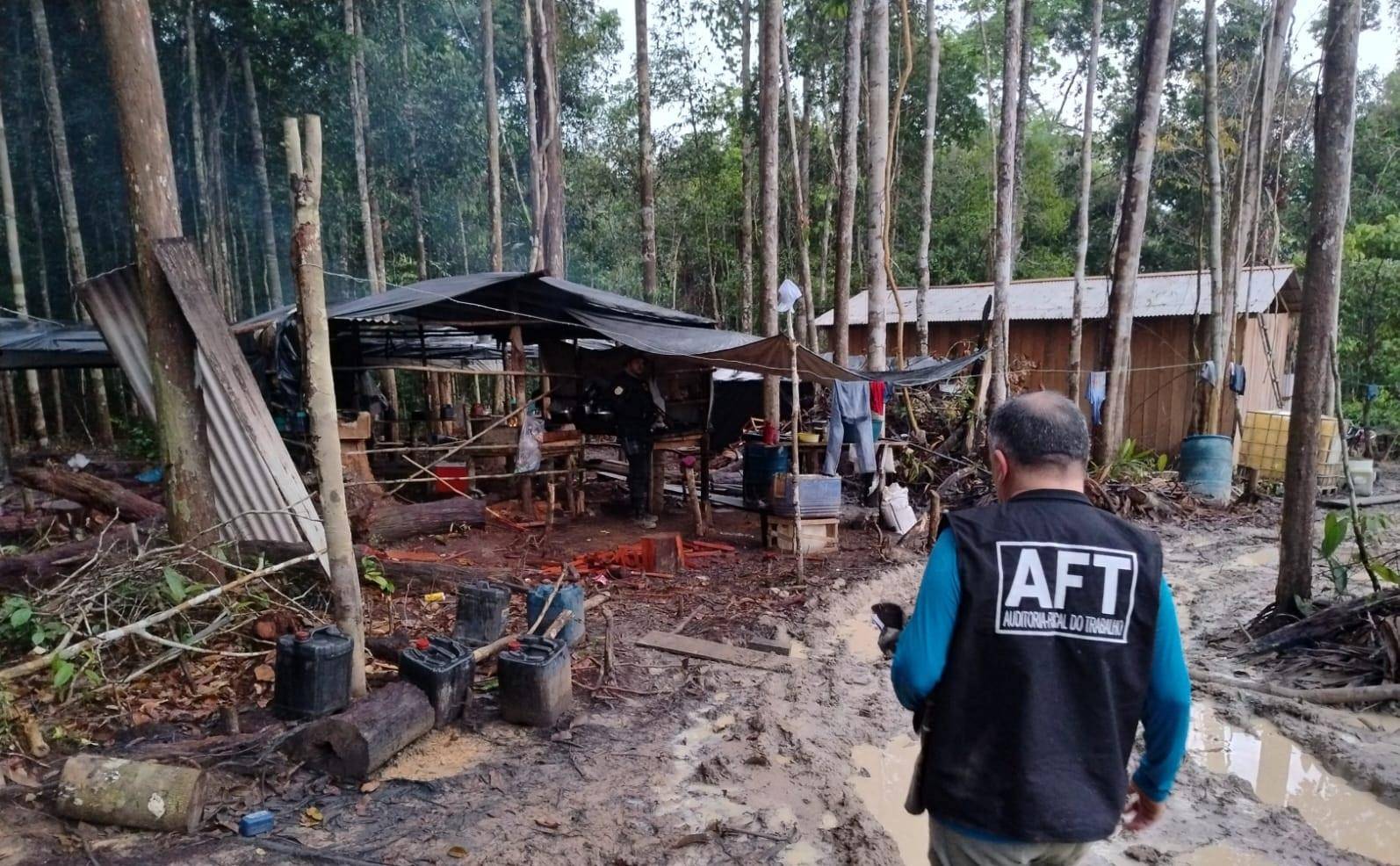 Inspeção em área de desmatamento em Manicoré, no Amazonas