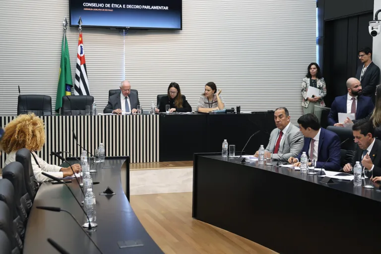 SP: Alesp arquiva pedidos de cassação de Mônica Seixas e Paula Nunes 