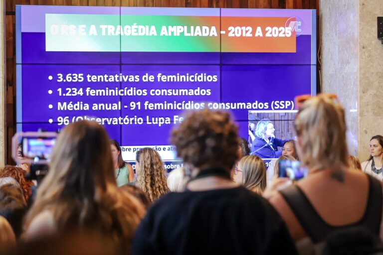Comissão externa aponta falhas estruturais e cobra políticas públicas para conter feminicídios 