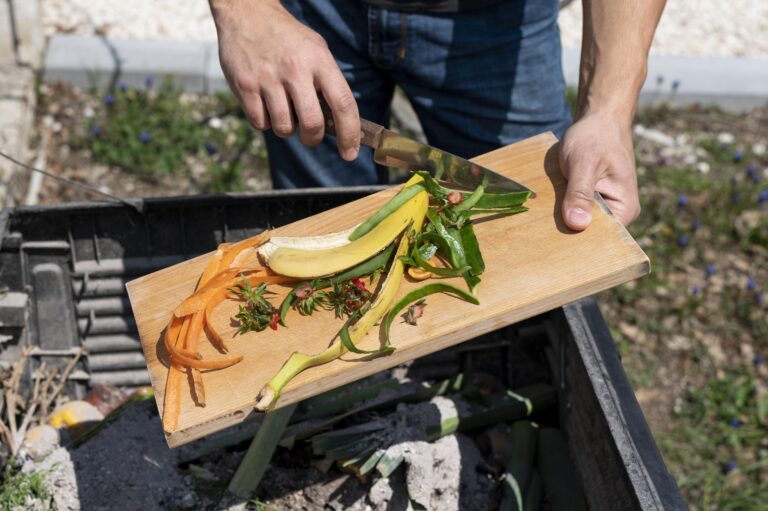 Ambientes alimentares: 'Escolha da comida não é individual, mas sistêmica", aponta especialista