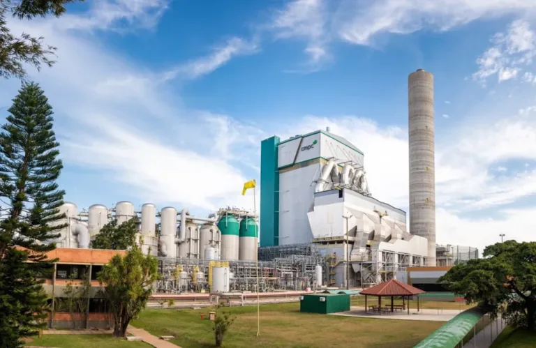Projeto bilionário da CMPC avança sob denúncia de indígenas e ambientalistas 