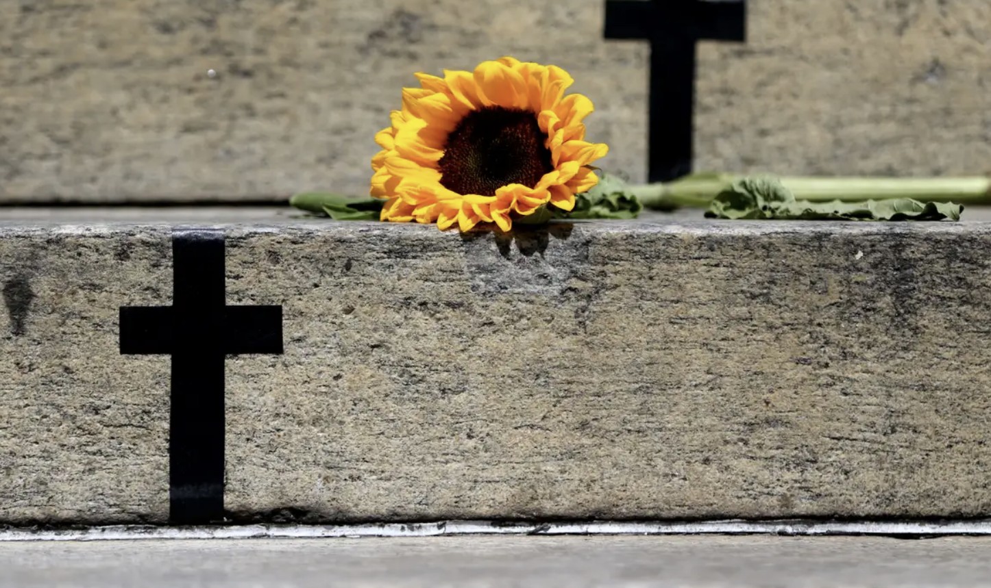 Flor de girassol repousado sobre lápide em cemitério