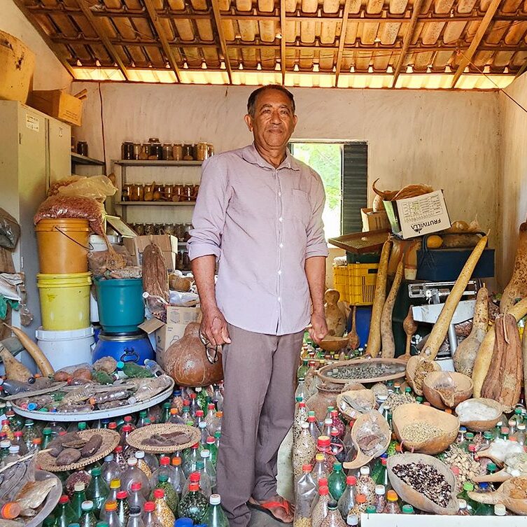 O agricultor, guardião de sementes e sanfoneiro Geraldo Gomes