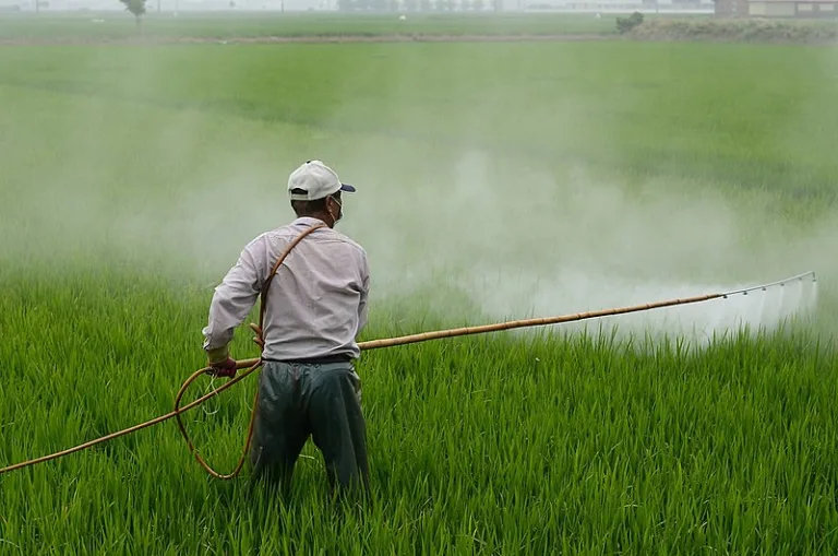 Agroecologia, agrotóxicos e agronegócio: o que propõem candidatos ao governo do RS