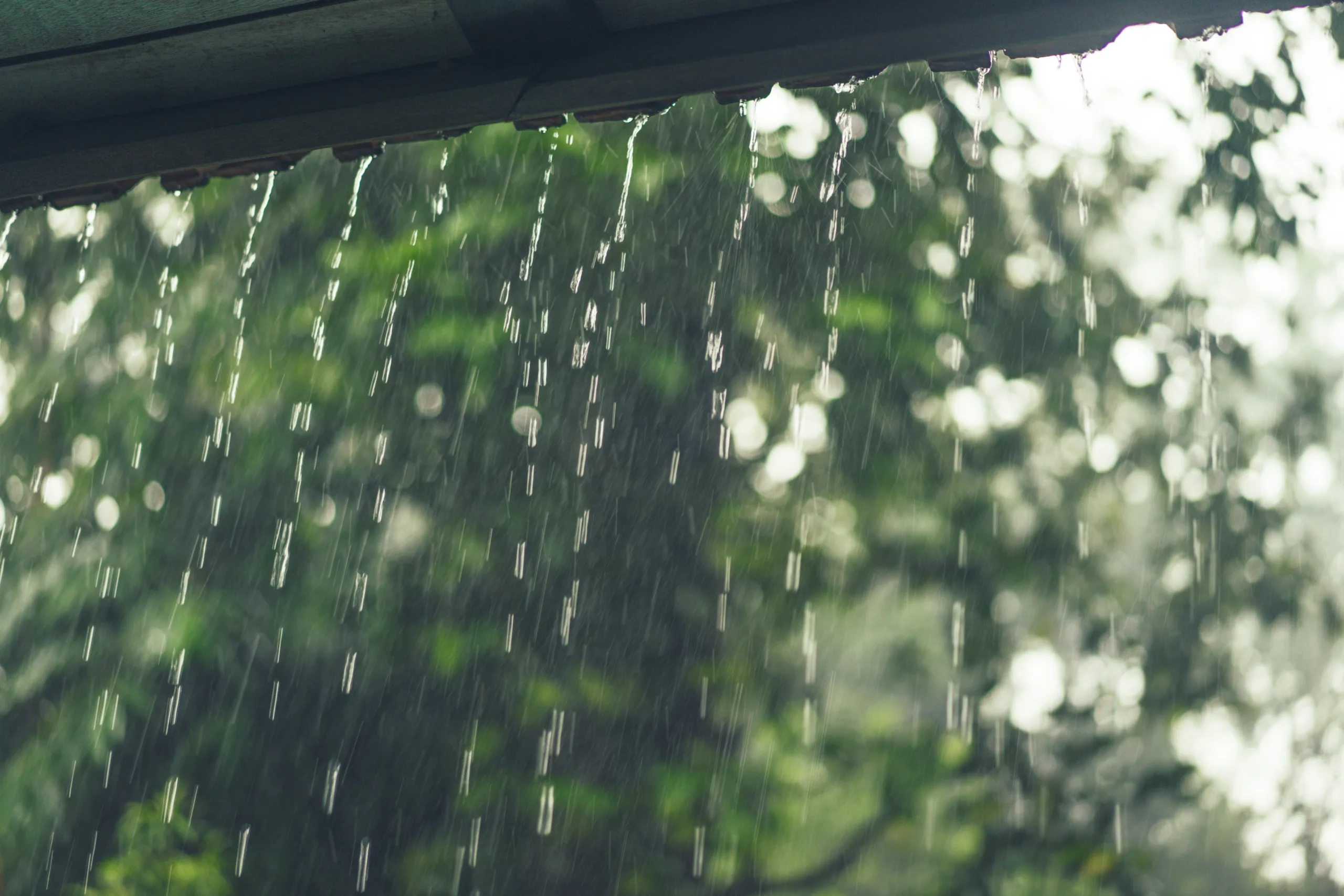 Chuva em Ubatuba (SP) provocou alagamento de cerca de 400 casas na cidade