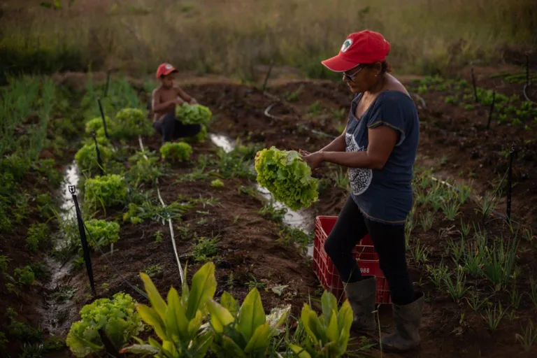 Avanços no crédito, desafios no acesso: os limites do Plano Safra para a agricultura familiar