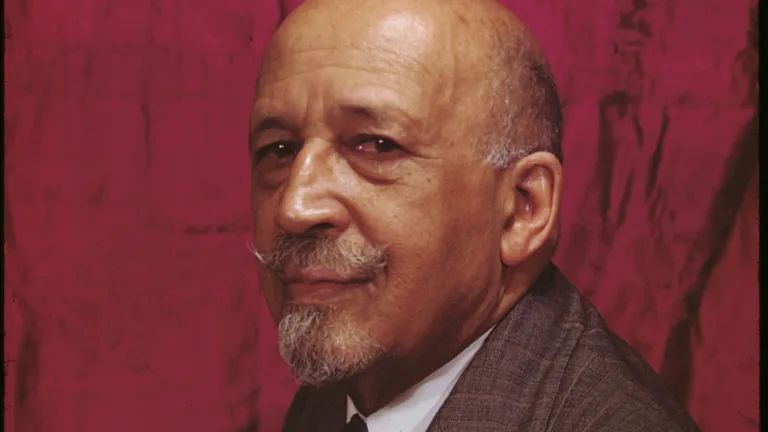 Conheça Du Bois, sociólogo negro que criticou a ideia de que há trabalho livre no capitalismo