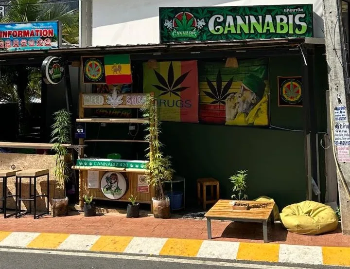 O potencial turístico do Brasil é subestimado e muito aquém do que poderia ser, considerando sua diversidade cultural, sua natureza e suas medicinas tradicionais