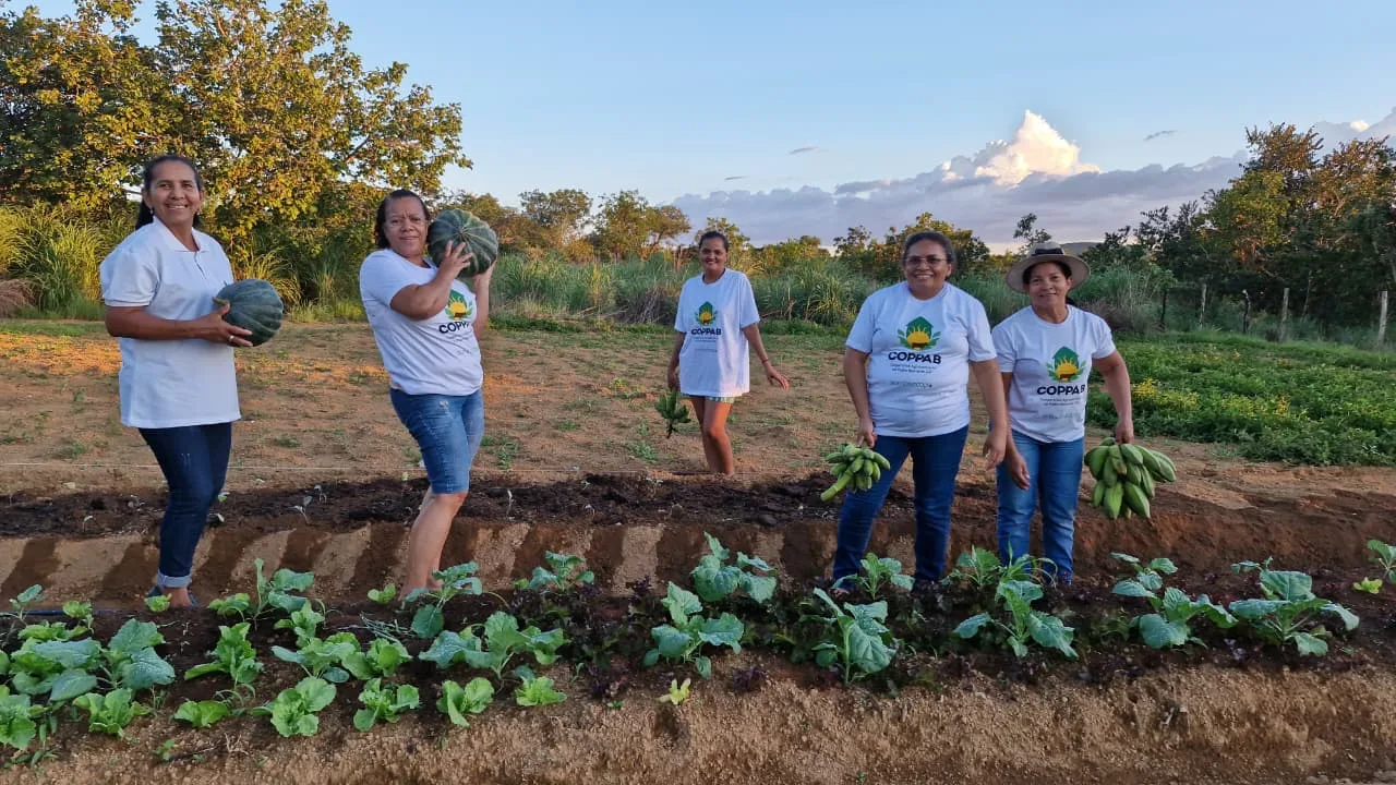 Agricultoras da cooperativa de Padre Bernardo produzem hortaliças, frutas e aves que abastecem programa de doação de alimentos na região.