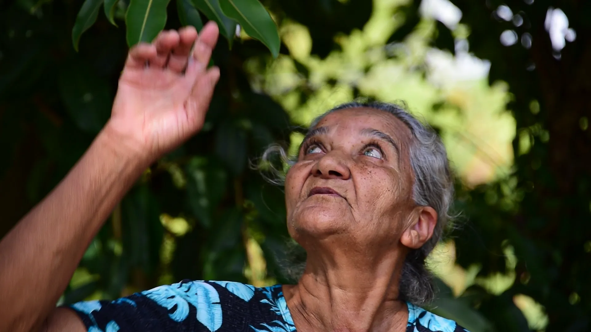Ao valorizar a oralidade e a experiência acumulada ao longo da vida, o documentário revela como esses conhecimentos seguem vivos e presentes em práticas terapêuticas que atravessam gerações.