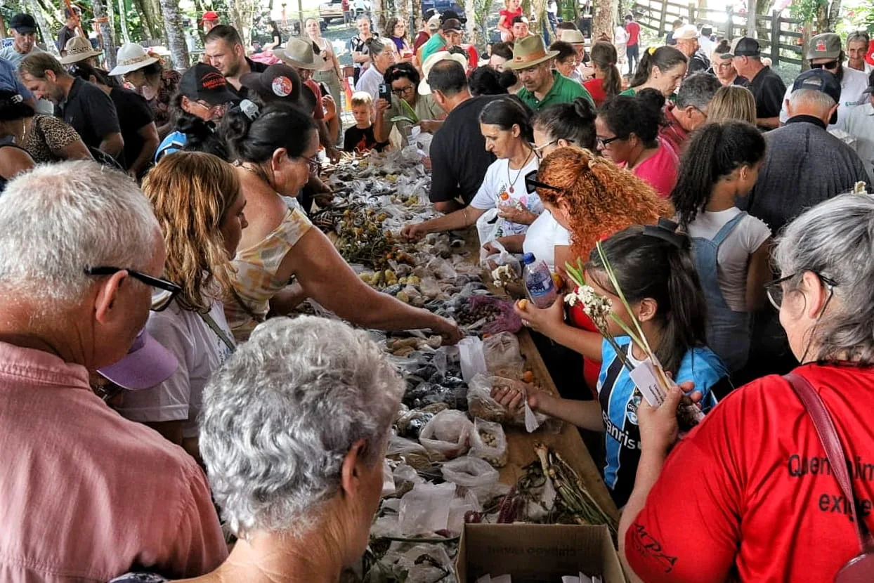 A programação incluiu troca de sementes crioulas, feira de produtos da agricultura familiar, atividades de formação e apresentações culturais
