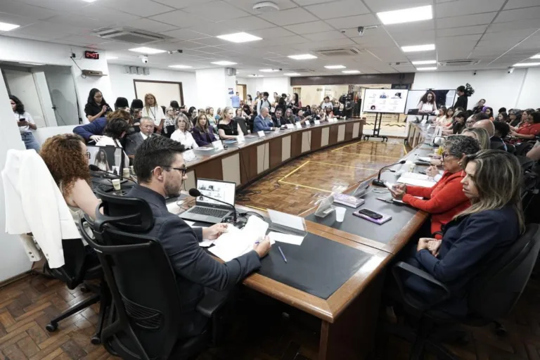 O enfrentamento ao feminicídio no Rio Grande do Sul é pauta de audiência pública no Parlamento