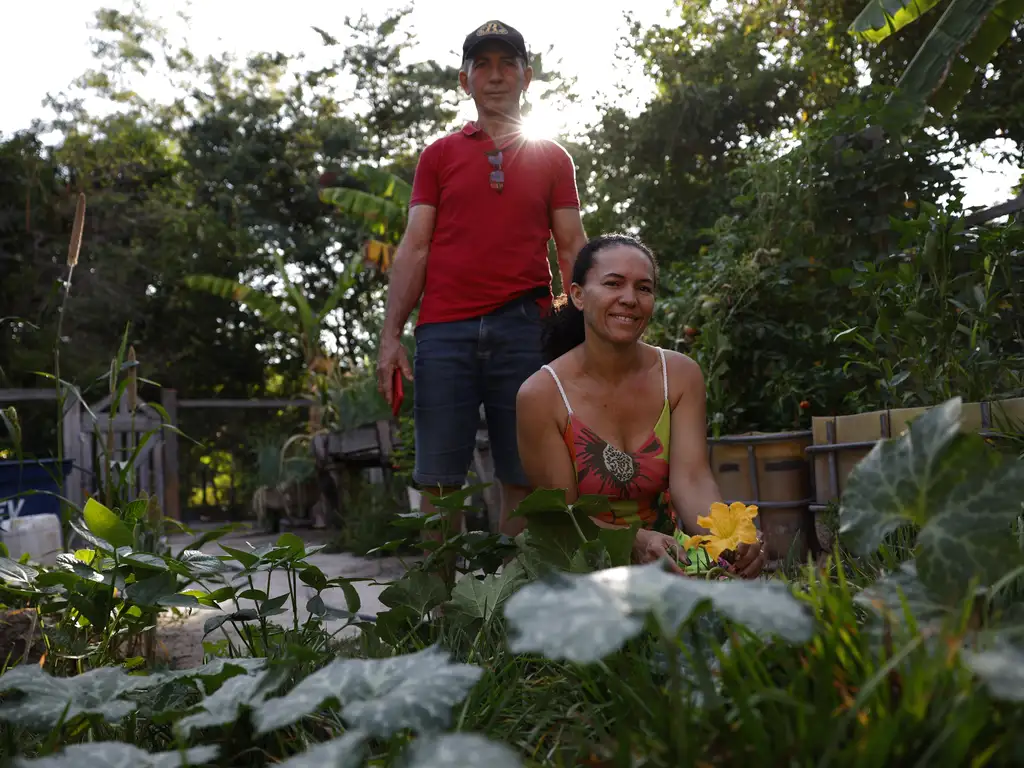 O agricultor familiar José Carlos do Santos e a professora Maria de Lourdes Lopes em sua horta nos fundos de casa na comunidade do Brejão, nos Gerais de Balsas