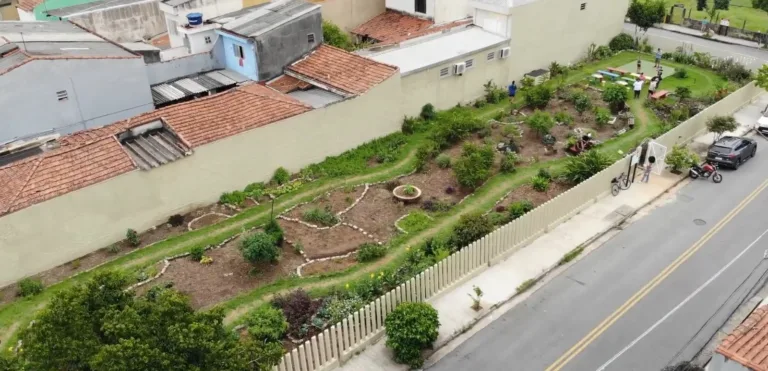 Como uma horta comunitária na Grande São Paulo combate a fome, as enchentes e o calor extremo