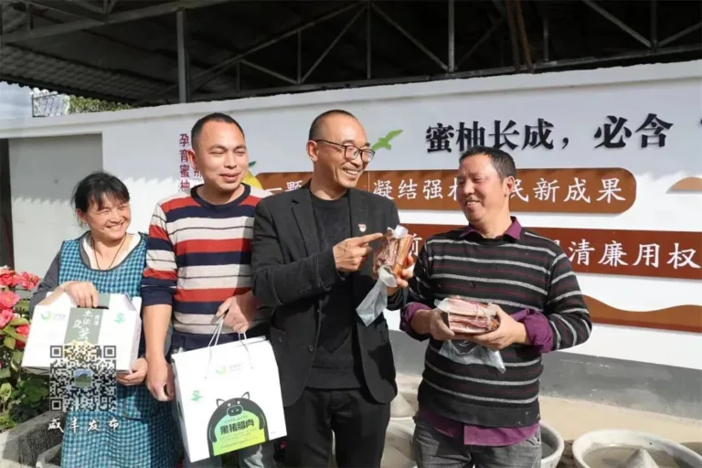 Em Hubei, na China, produção orgânica impulsiona renda rural e revitalização no campo