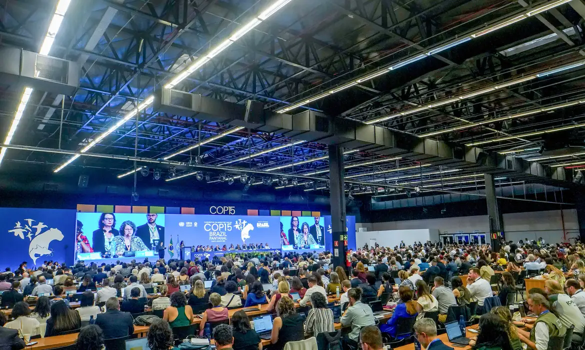 COP15