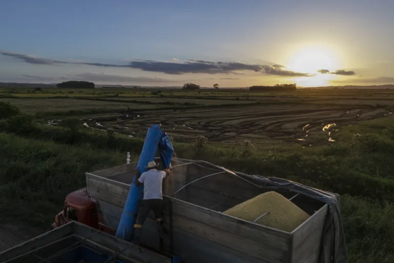 Jornadas vitalícias e acesso à terra: os desafios enfrentados pelo trabalhador rural 