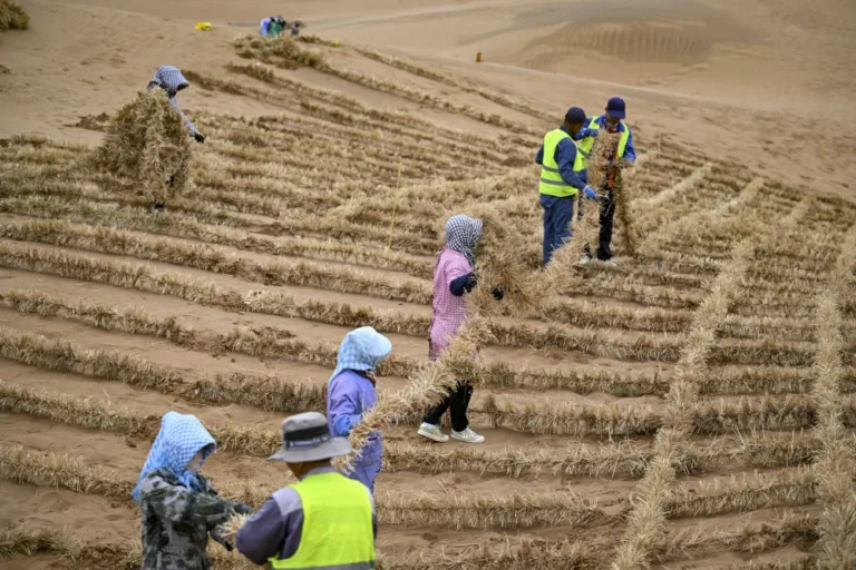 Trabalhadores de Zhongwei, na Região Autônoma Hui de Ningxia, instalam barreiras de areia quadriculadas feitas de palha no deserto de Tengger.