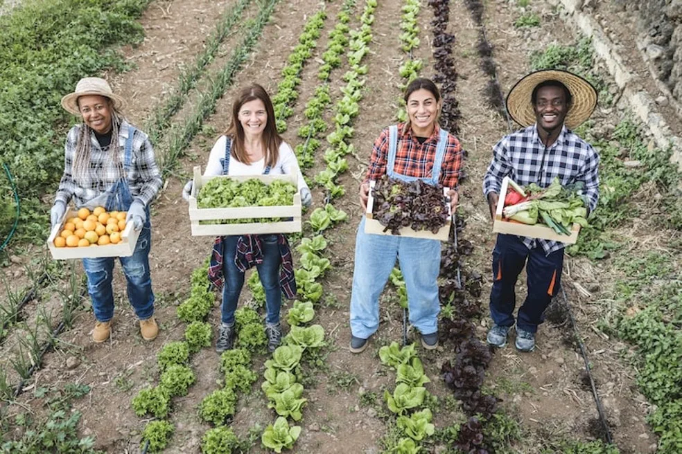 Agricultura familiar precisa ser apoiada para produzir mais e produtos mais saudáveis