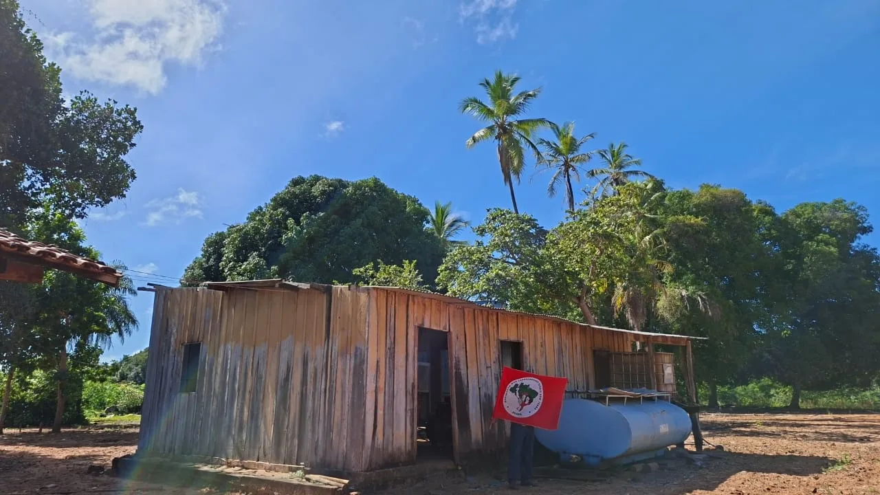 Território ocupado era usado para monocultura de eucalipto