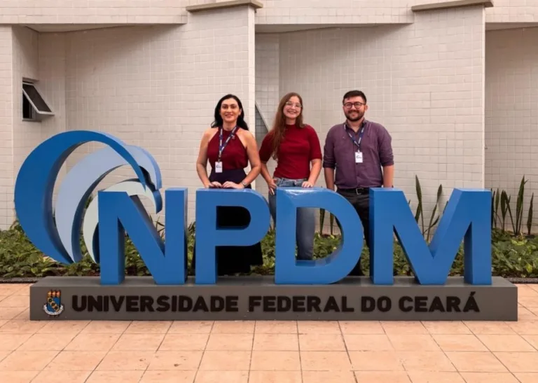 Pesquisadores desenvolvem projeto capaz de analisar dados sobre feminicídio no Ceará 