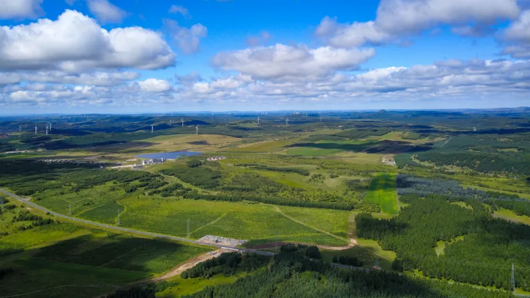 Com 66 bilhões de árvores plantadas, China lidera luta mundial contra desertificação