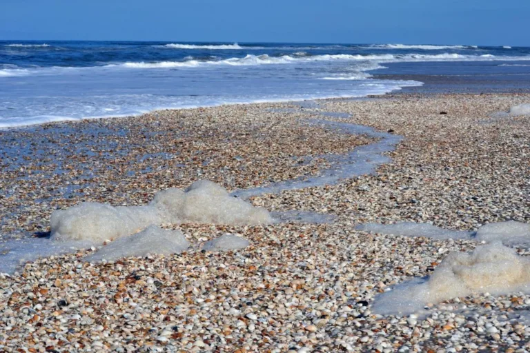 Parque do Albardão preserva ecossistemas e redefine uso do litoral sul do RS
