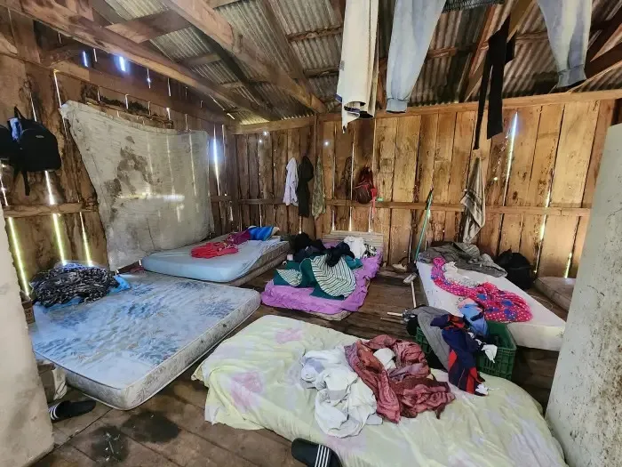 Em 2024, 22 argentinos foram resgatados em situação de escravidão na colheita da uva em São Marcos (RS)