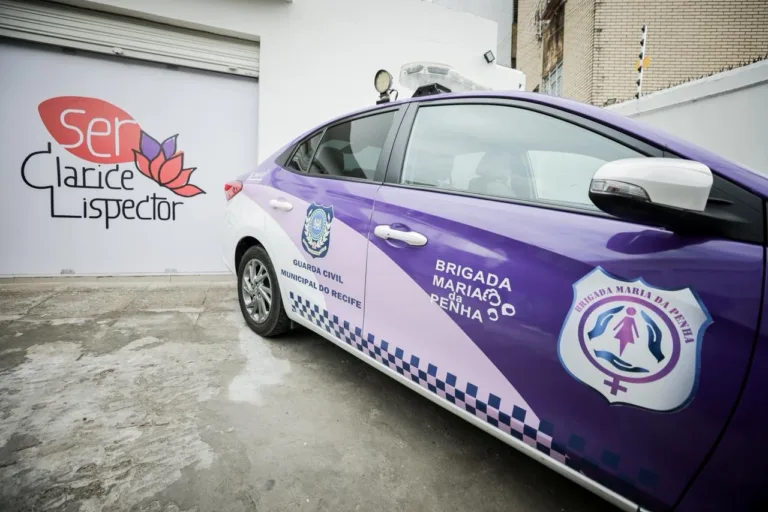 Combate à violência contra a mulher conta com novos espaços e plataforma virtual em Pernambuco