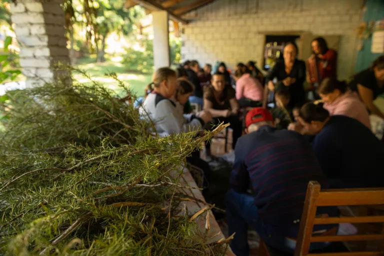 Ações do MPA e Ater oferecem agroecologia como ferramenta de saúde mental em regiões de tabaco