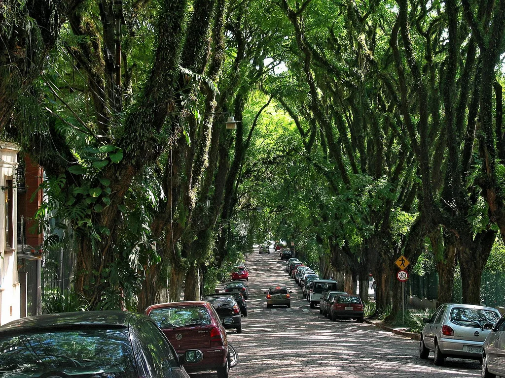 Túnel verde da rua Gonçalo de Carvalho mobiliza debate sobre preservação urbana em Porto Alegre