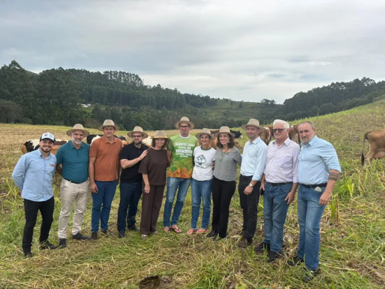 Ministra indica ampliação de políticas para mudança no modelo produtivo da agricultura familiar