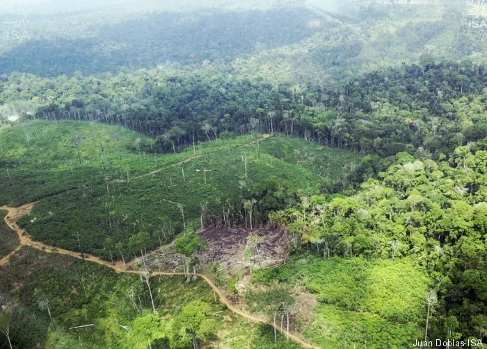 Área desmatada na Terra Indígena Cachoeira Seca (PA)