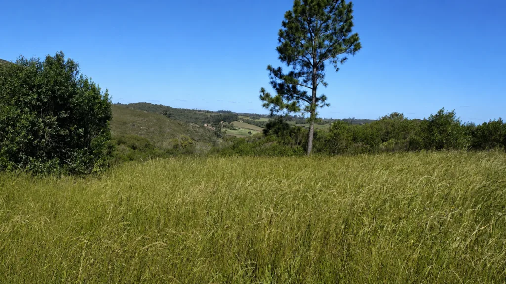 Paisagem do interior de Canguçu ajuda a entender o papel do relevo e da vegetação nas rotas de fuga e na formação dos quilombos