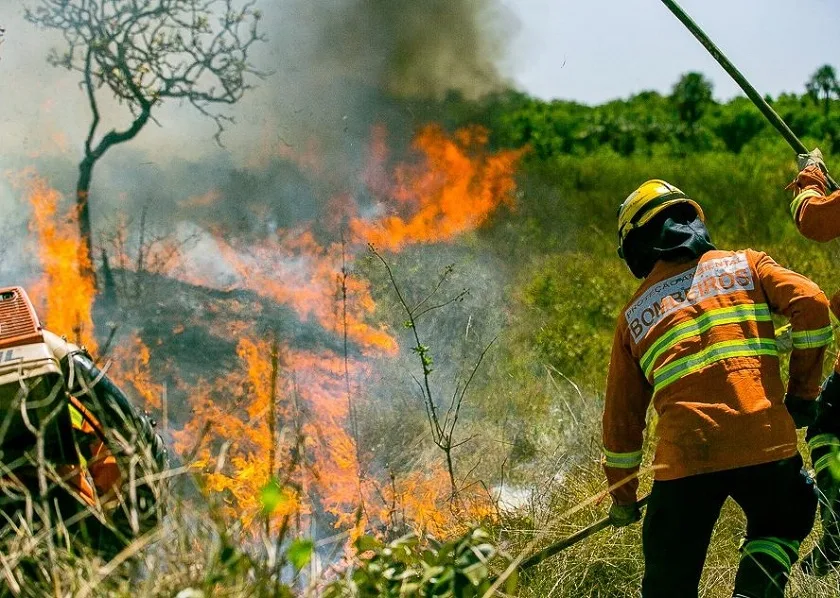 Vegetação seca e baixa umidade aumentam o risco de incêndios florestais durante a estiagem no Distrito Federal.