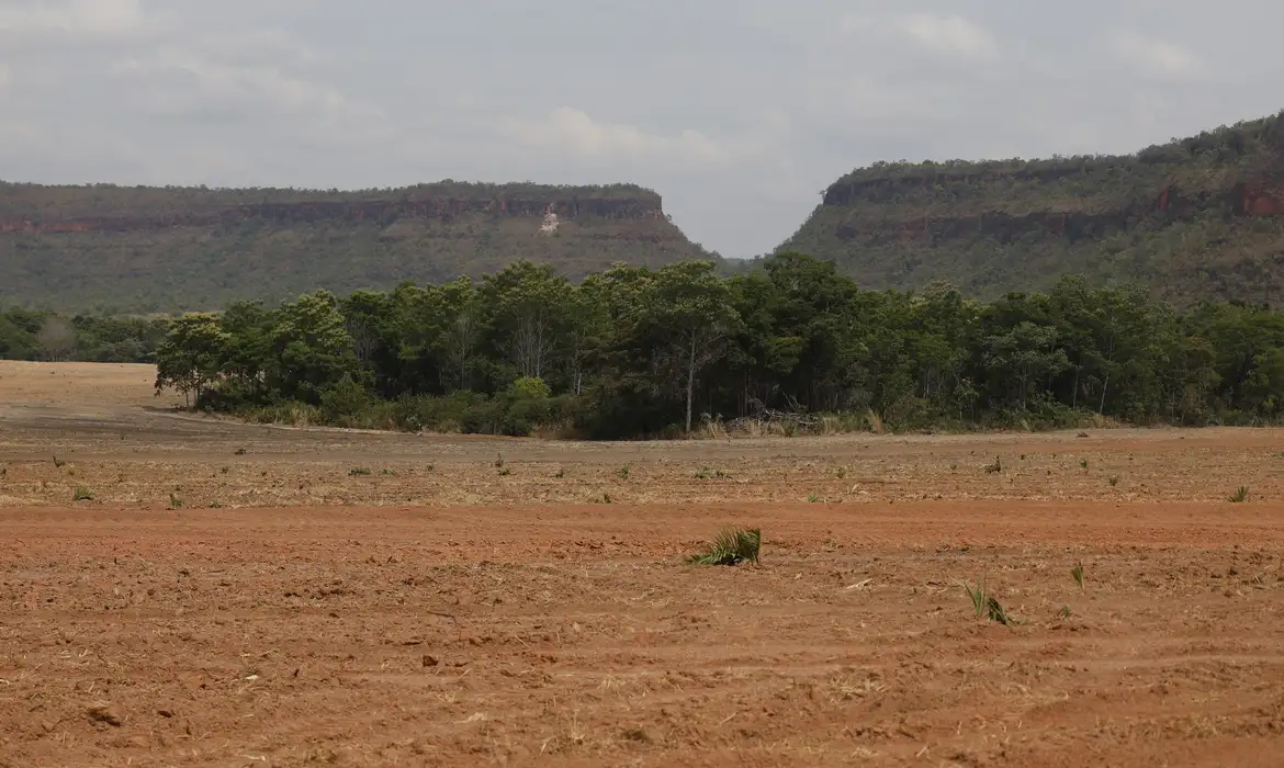 De acordo com o estudo, quase 5% da vegetação nativa do Brasil, o equivalente a 26,7 milhões de hectares, está em fragmentos menores que 250 hectares