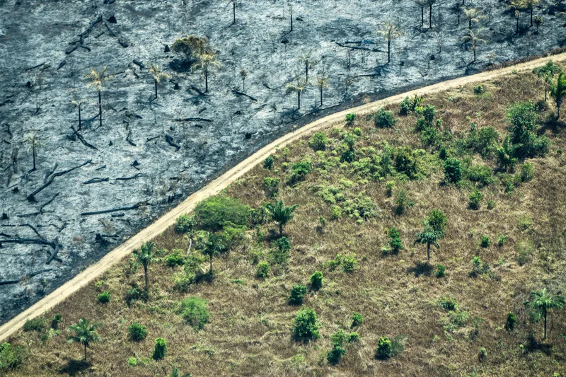 Área de floresta atingida por incêndios e convertida em pastagem em Rondônia, nas proximidades de Porto Velho. desmatamento