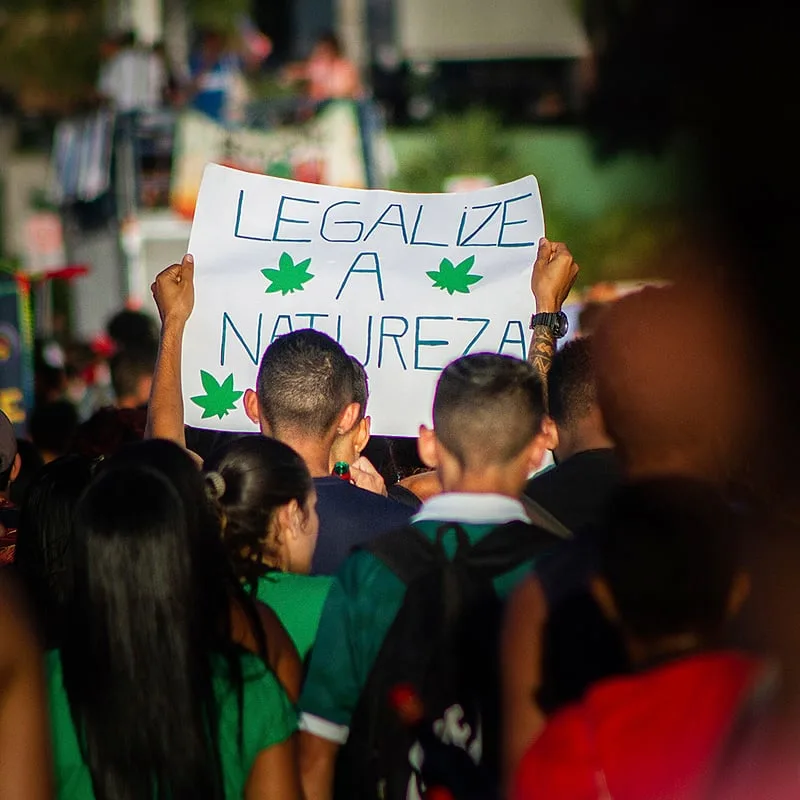 marcha da maconha