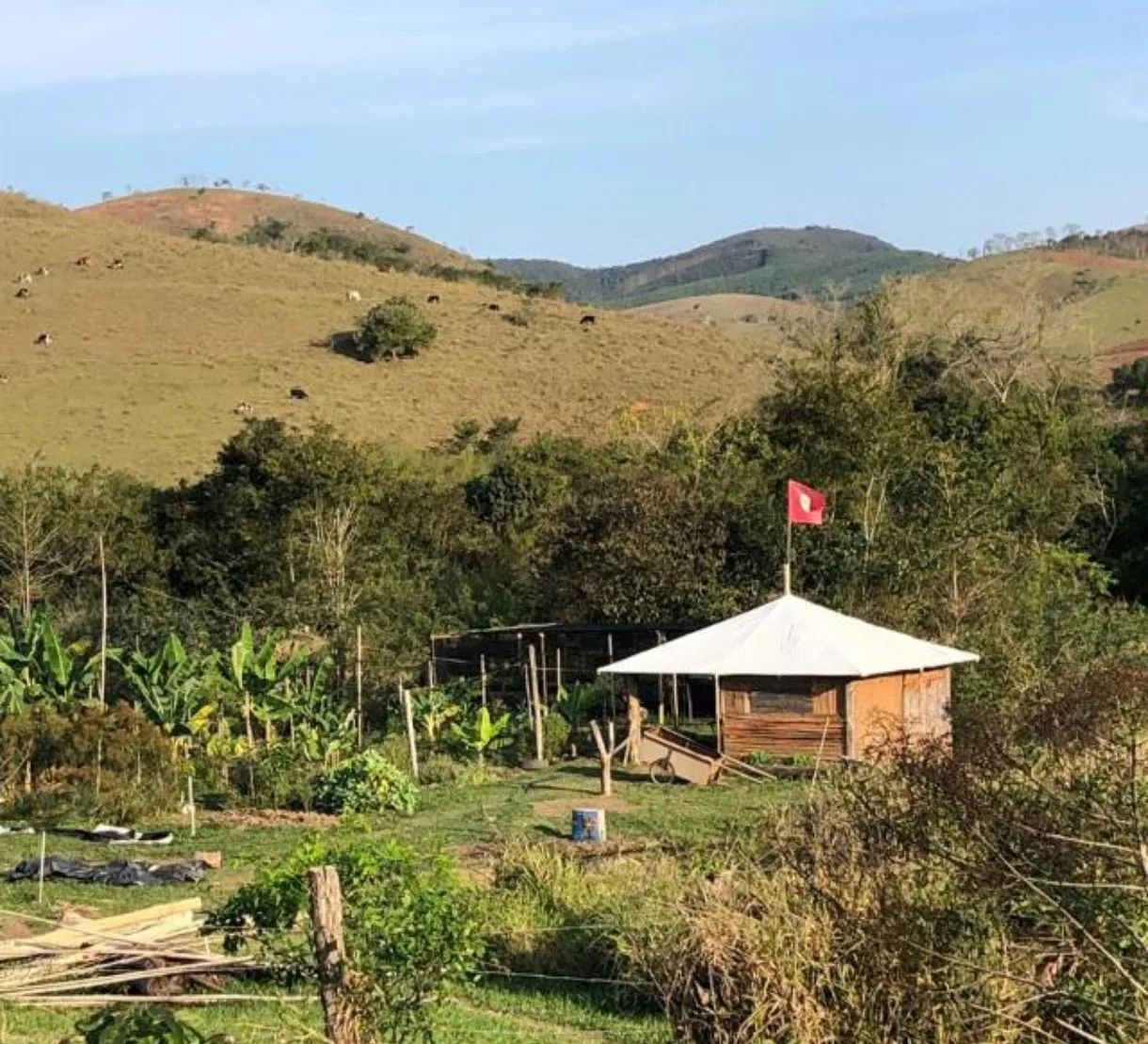 A programação deve contar com momentos de formação, debates, visitas guiadas pelo lote, apresentação dos módulos de Sistemas Agroflorestais (SAF), além de atividades práticas de manejo agroecológico e plantio de adubação verde