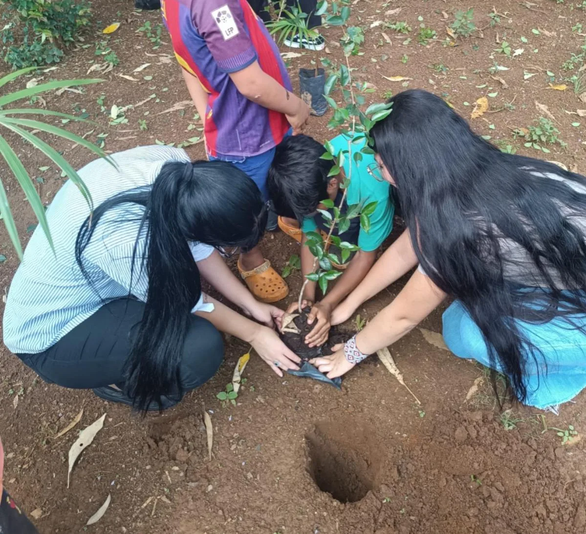 O povo Guarani Mbya, na Terra Indígena do Jaraguá.