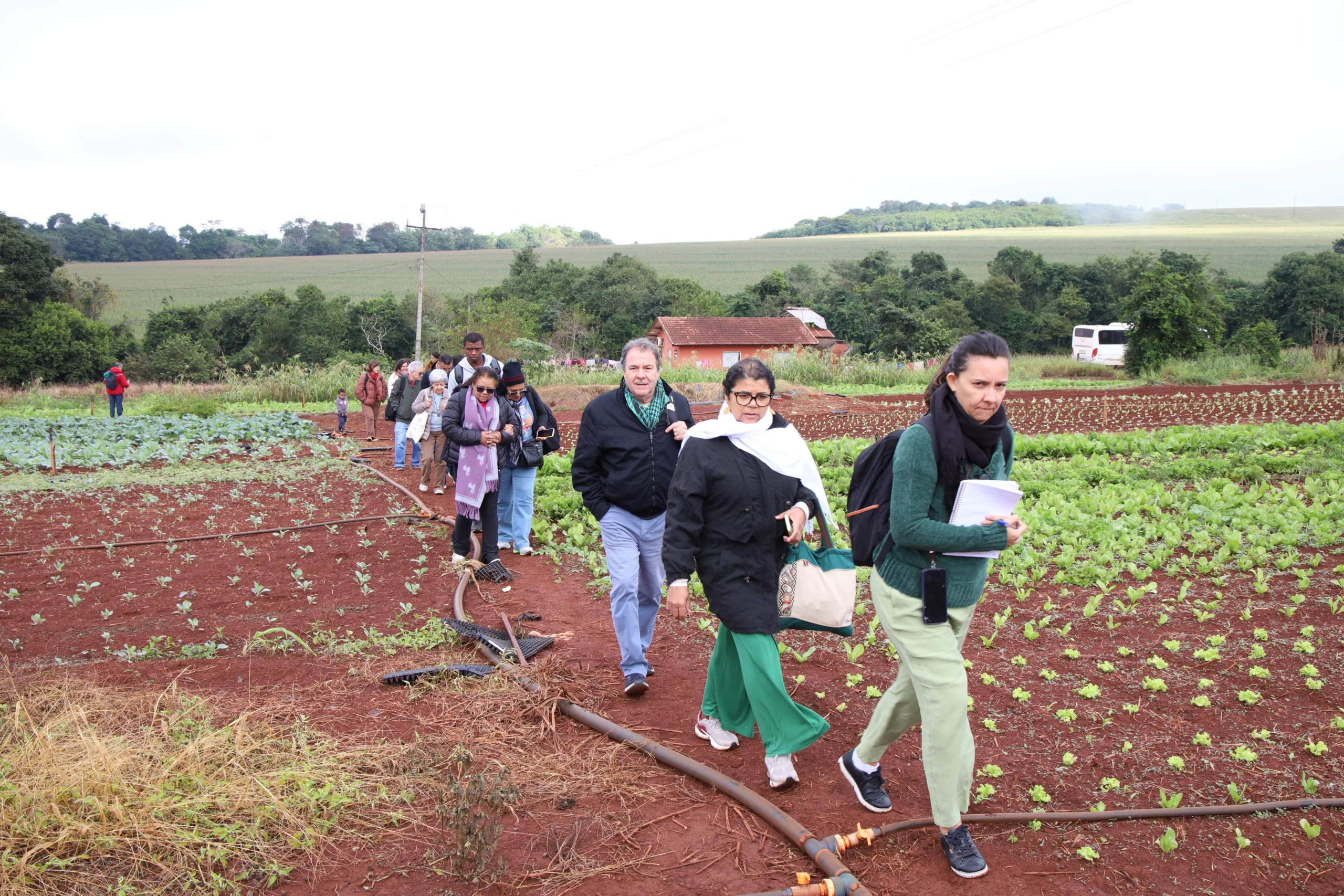 A caravana agroecológica visita o Quilombo Apepu, cuja paisagem contrasta com o entorno tomado pelo milho.