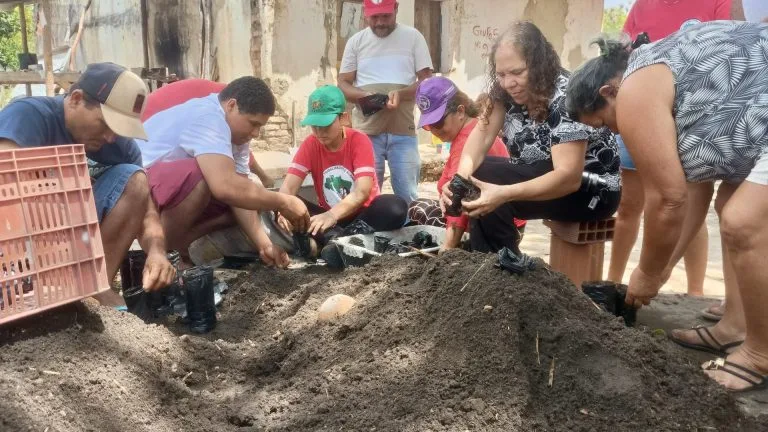 Preparação de mudas no acampamento Arcanjo Belarmino, em Pedras de Fogo (PB).