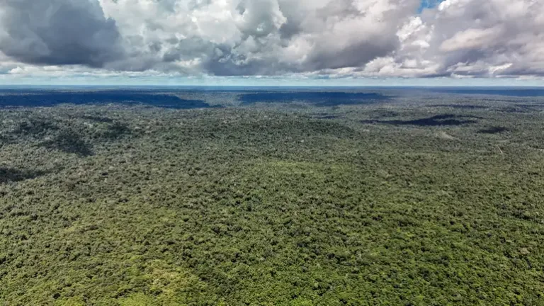 Floresta Nacional do Tapajós, Belterra, Pará.