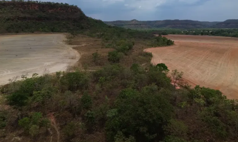 Fazenda de investigada por ligação com PCC leva cidade do PI ao topo do desmatamento no Brasil