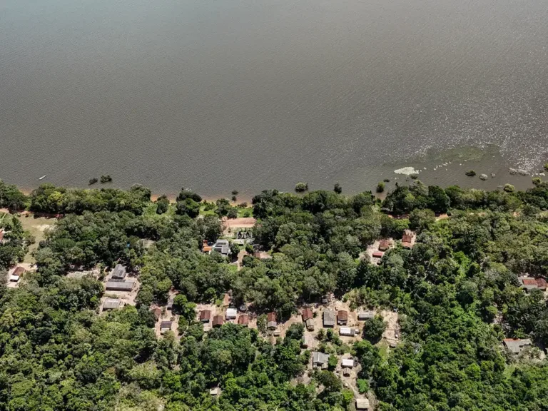 Floresta Nacional do Tapajós, em Belterra, Pará.