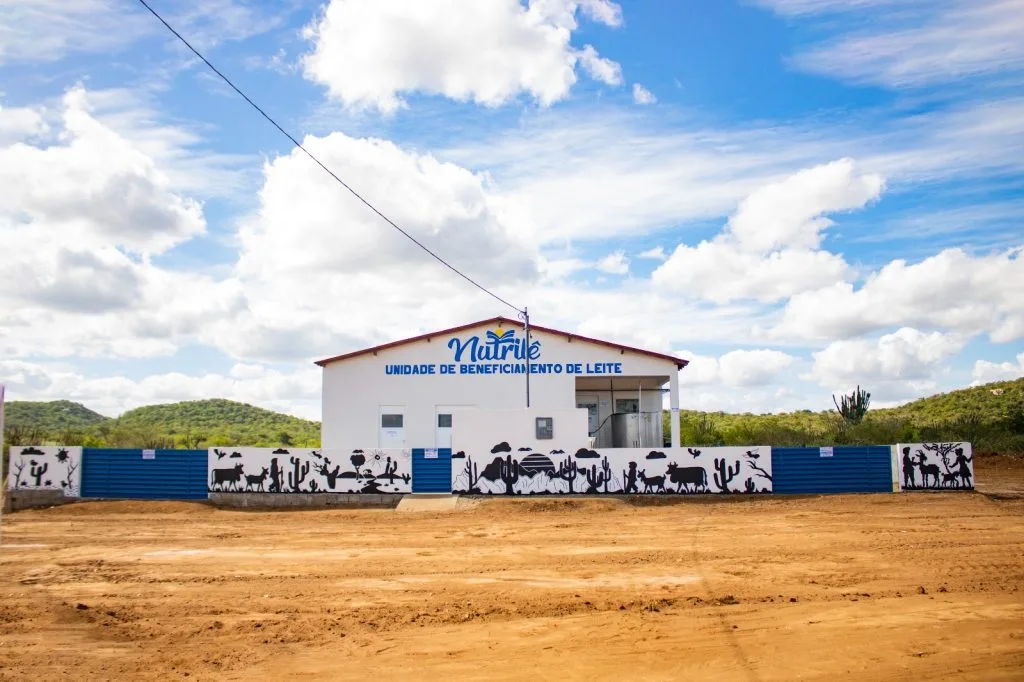 Investimento de Impacto no Nordeste: como a Coopac está transformando a produção de leite caprino em desenvolvimento regional
