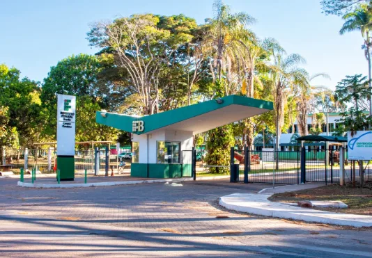 IFB tem vagas para curso superior gratuito em Agroecologia; inscrições terminam neste domingo (28)