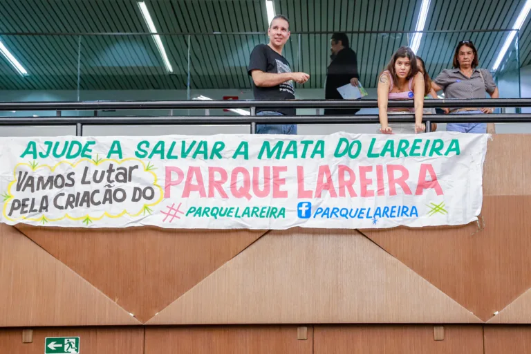 Mata do Lareira