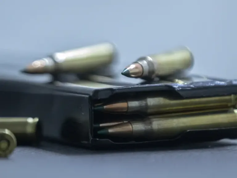 Arma de fogo e munição