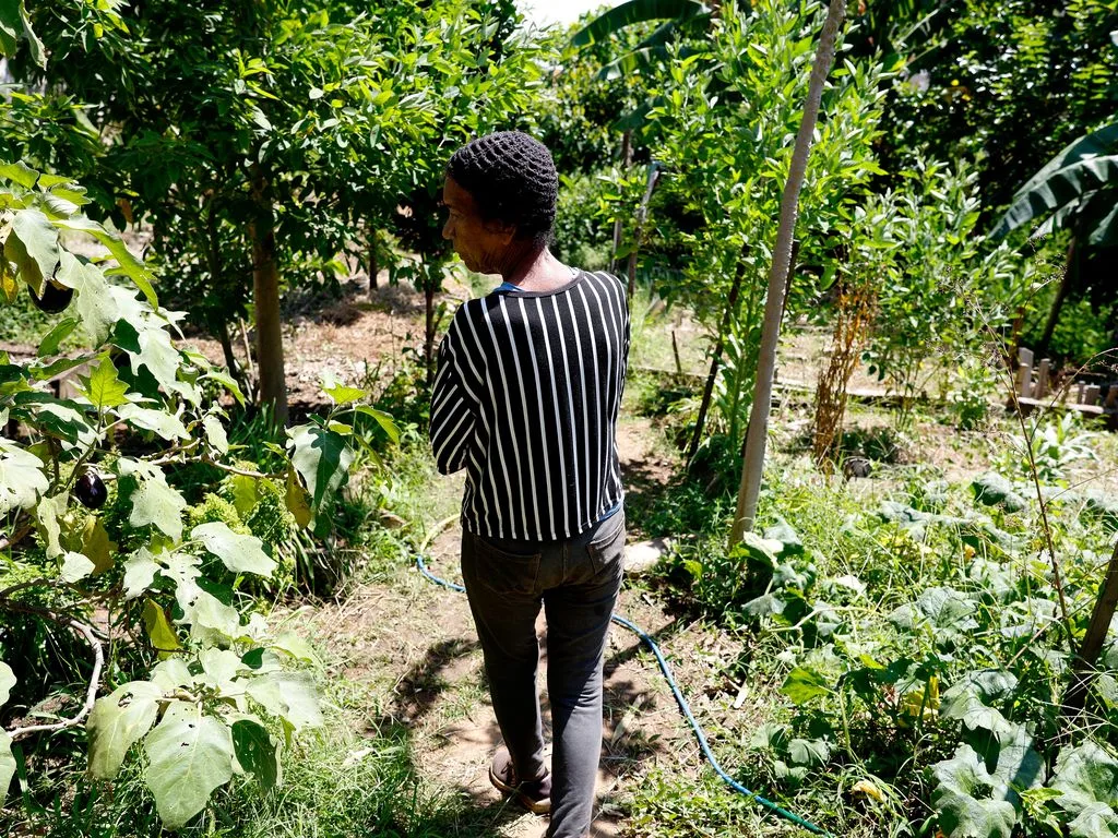 Aprovada em 2019, lei do RJ que prevê incentivo a produtores agroecológicos ainda não foi regulamentada